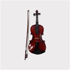 RAGA'S 4/4 VIOLIN VSP-120 w/ Bow and Carrying Case